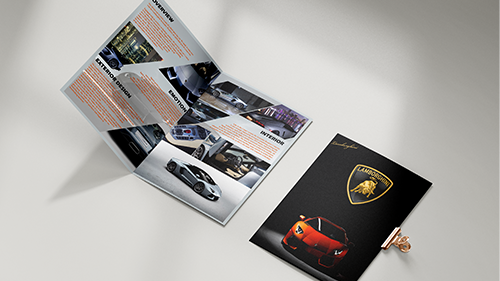 portfolio
